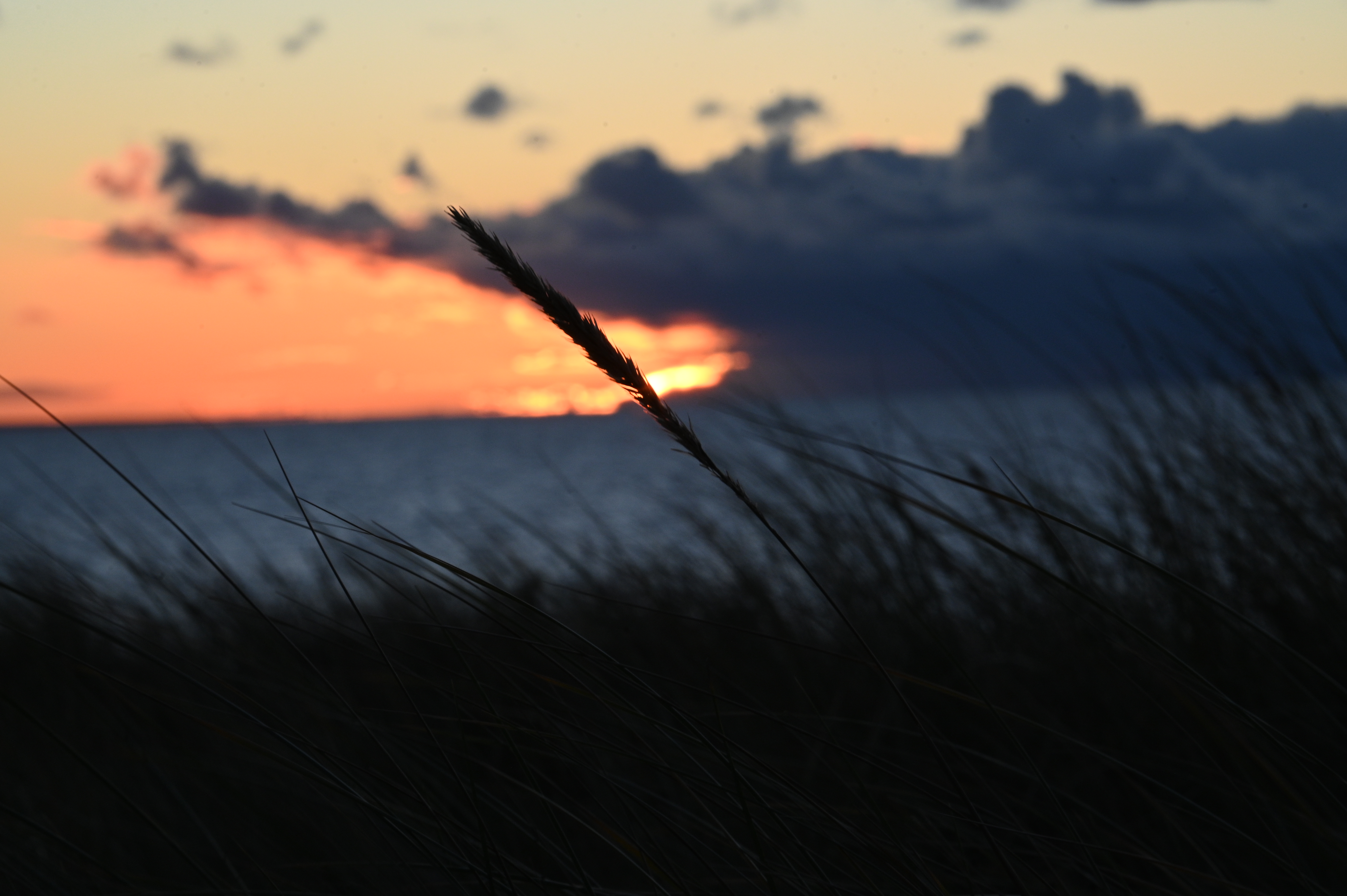 2025/10/18 - walk/DSC_0499.JPG